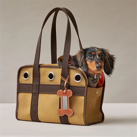 hermes kelly dog bag|Hermes Kelly Bag used.